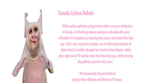 CANADA CARBON REBATE - A PIG WITH LIPSTICK