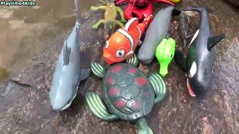 Sea Animal Toys