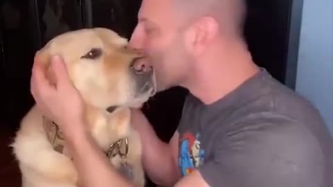 Dog reactions to the kiss🫶 #dog