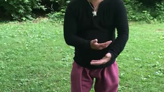 Pearl dragon tai chi type form