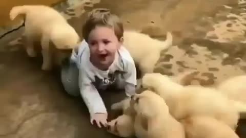 Cute baby playing with puppies 😍 so cute moment