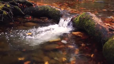 Small waterfall