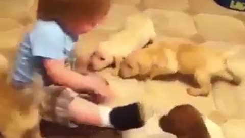 Babies and Cute Dogs