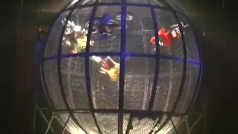Shanghai Acrobatic Motorcycle Stunt Cage