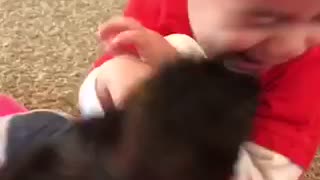 Toddler bonds with new puppy addition