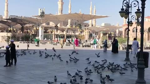 Madina