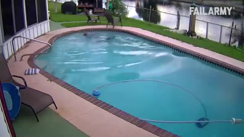 Fool in pool funny fails