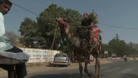 Men on Camel Ride in Rajasthan India