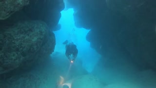 Bermuda: Cooper's Island Scuba Dive 12-7-2020