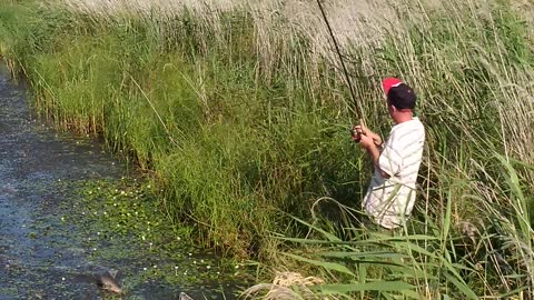 snakehead fishing