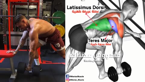 10_Best_Exercise_To__Lower_Lats_workout_(V-TAPER)