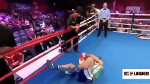 Bast funny moments In boxing sports