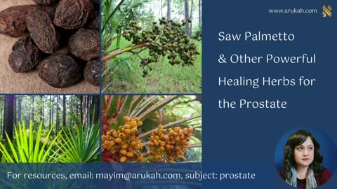 Prostate Health: Saw Palmetto & Other Powerful Herbs - Home Remedies & Health Coach Certification