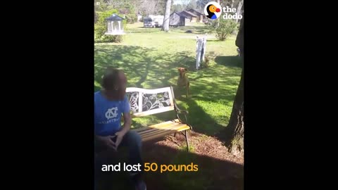 Dog Doesn't Recognize Owner After Weight Loss...Until He Sniffs | The Dodo