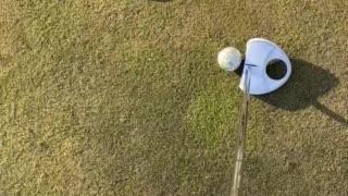 Putting for left hand