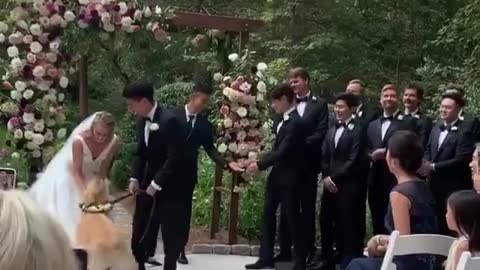 This Golden Retriever ring bearer is just what every wedding needs
