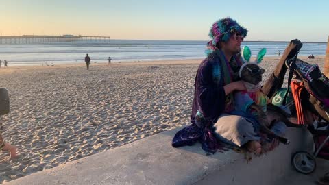 Beach dog massage