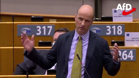 EU Grundrechte - Rede Dr. Nicolaus Faust AfD EU Parlament