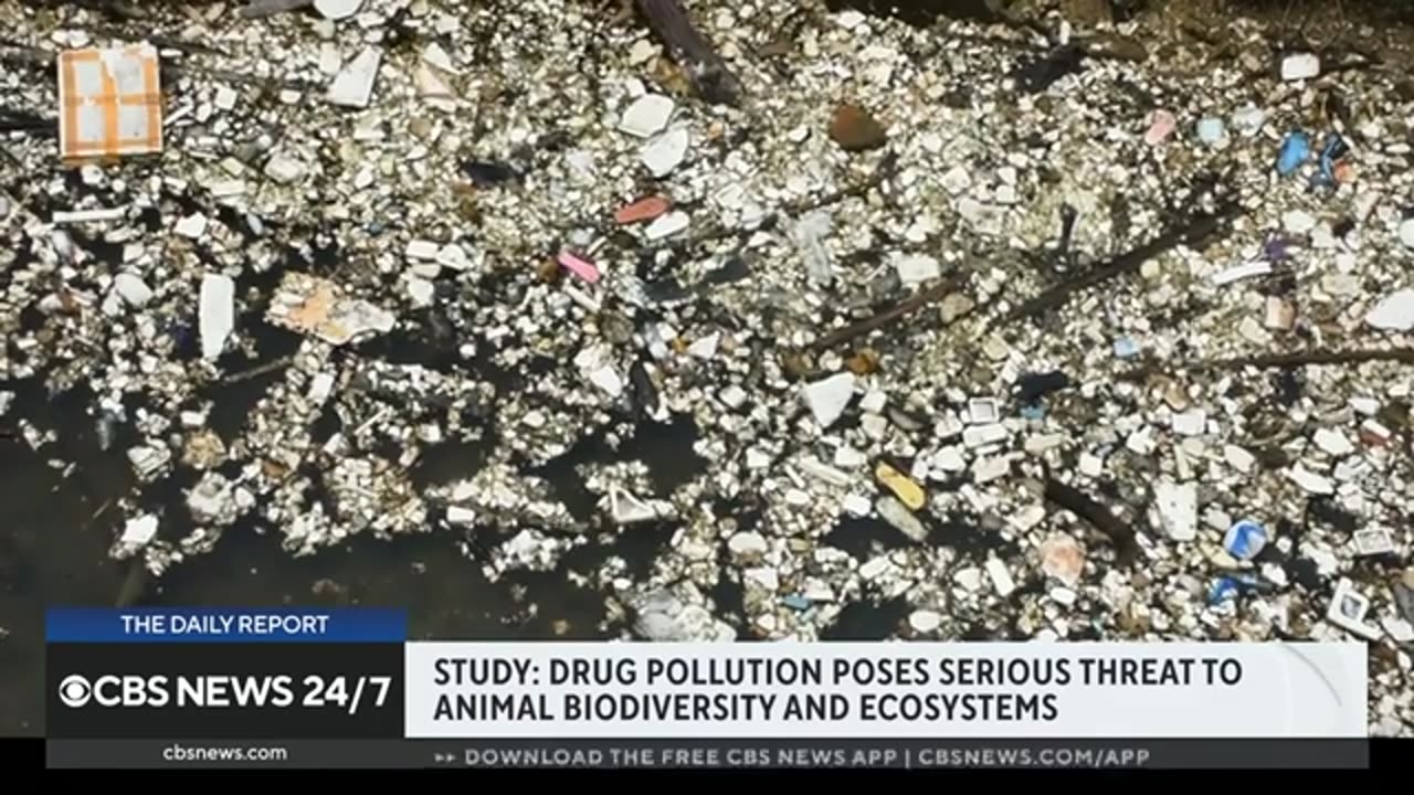 Drug pollution poses serious threat to animals and ecosystems, study ...