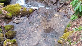 Beautiful mountain stream NC