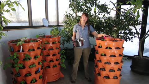 Composting with the Garden Tower