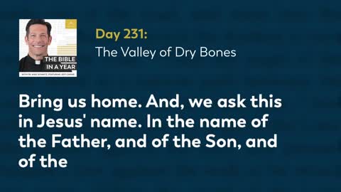 Day 231: The Valley of Dry Bones — The Bible in a Year (with Fr. Mike Schmitz)