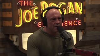 Rogan Sounds off on the Epstein Scandal