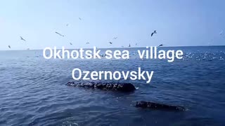 Okhotsk sea