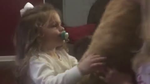 Little girl falls over trying to hold big cat
