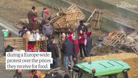 Farmers throw eggs and dump manure in Belgium protest