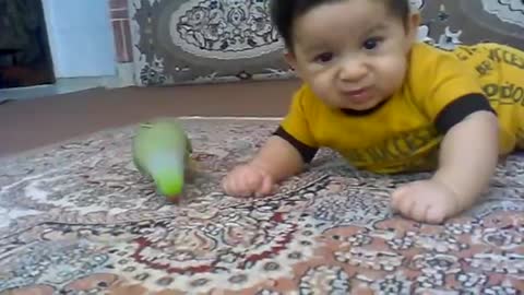 Funny Parrot With Cuties Baby