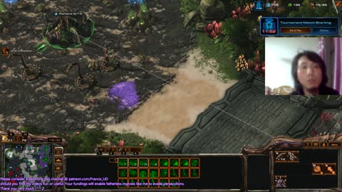 starcraft2 zerg v protoss on tropical sacrifice perhaps this is what's called a glorious defeat?