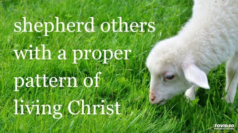 shepherd others with a proper pattern of living Christ