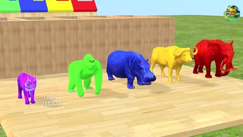Long Slide | Game With Elephant | Gorilla Buffalo Tiger | 3d Animal Game | Funny 3d Animals