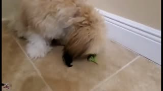 She needs the broccoli handed to her