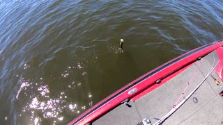 Spring Time is Crappie Time on Toledo Bend