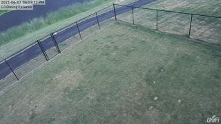 Hailstorm Backyard Footage