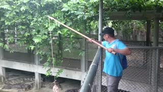 how to catch a crocodile on a fishing rod