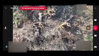 🇺🇦🇷🇺 Ukraine Russia War | KIA and WIA Ukrainians After Russian Assault on Position | RCF