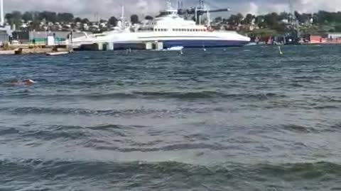 Ferry bastø fosen