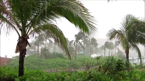 Bahamian Tropical Storm