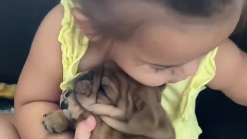 Sweet baby kisses Frenchie puppy,viral, short video ,