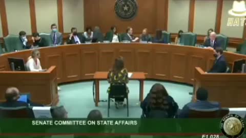 Senate Committee on State Affairs Questions the Covid-19 Vaccine *(SHOCKING)*