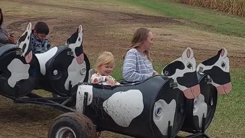 Tractor Cow ride, Pumpkin patch farm