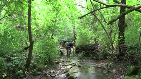 Hanging deer stands with the Nucanoe