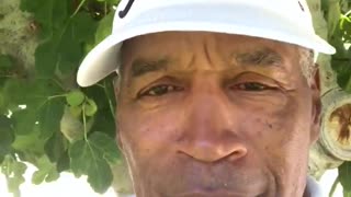 OJ Simpson talks about Howard Stern and Democrats