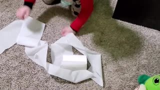 Toddler gets caught toilet papering his room.
