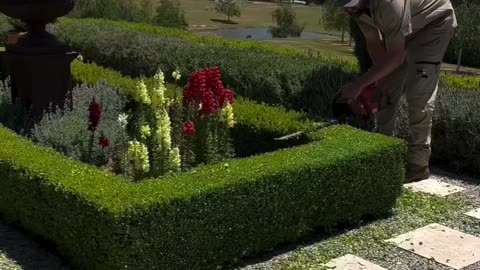 Satisfying grass cutting