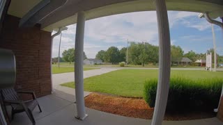 Hawk Flies Straight Into House