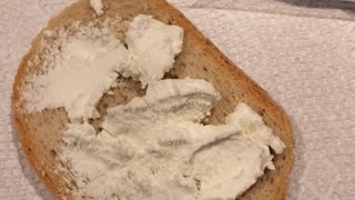 Eating Montchevre Plain Goat Cheese, Dbn, MI, 11/16/23